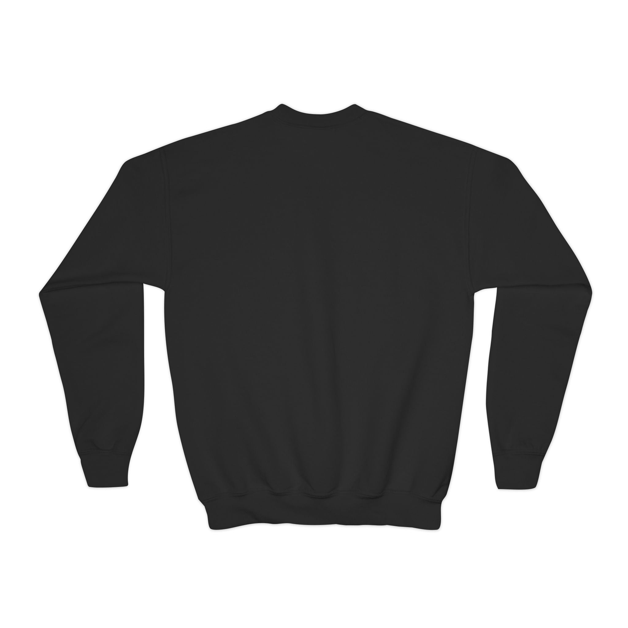 Youth Baseball Crewneck Sweatshirt - Batter & Red Stitch Design