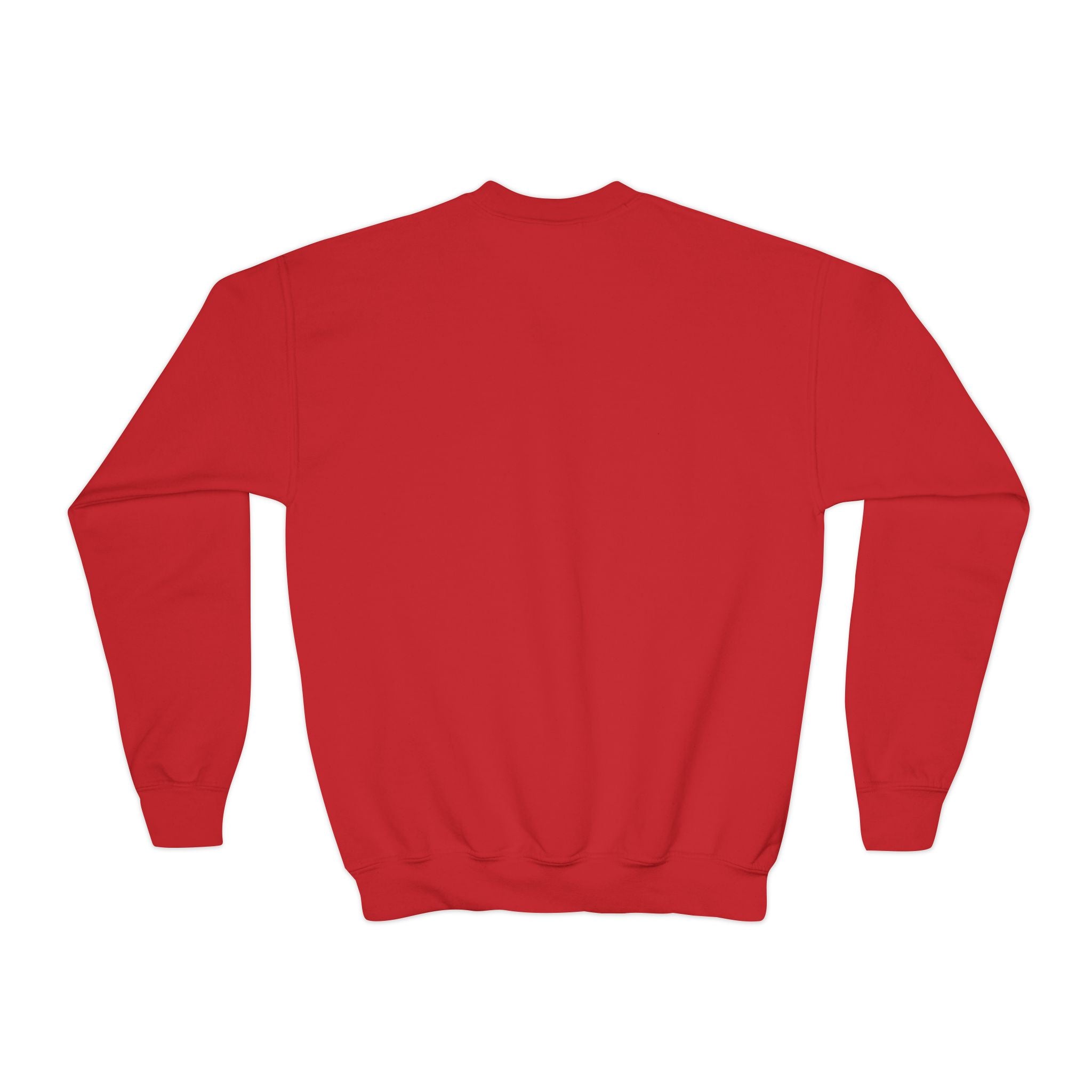 Youth Baseball Crewneck Sweatshirt - Batter & Red Stitch Design