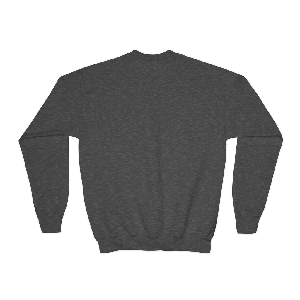 Youth Baseball Crewneck Sweatshirt - Batter & Red Stitch Design