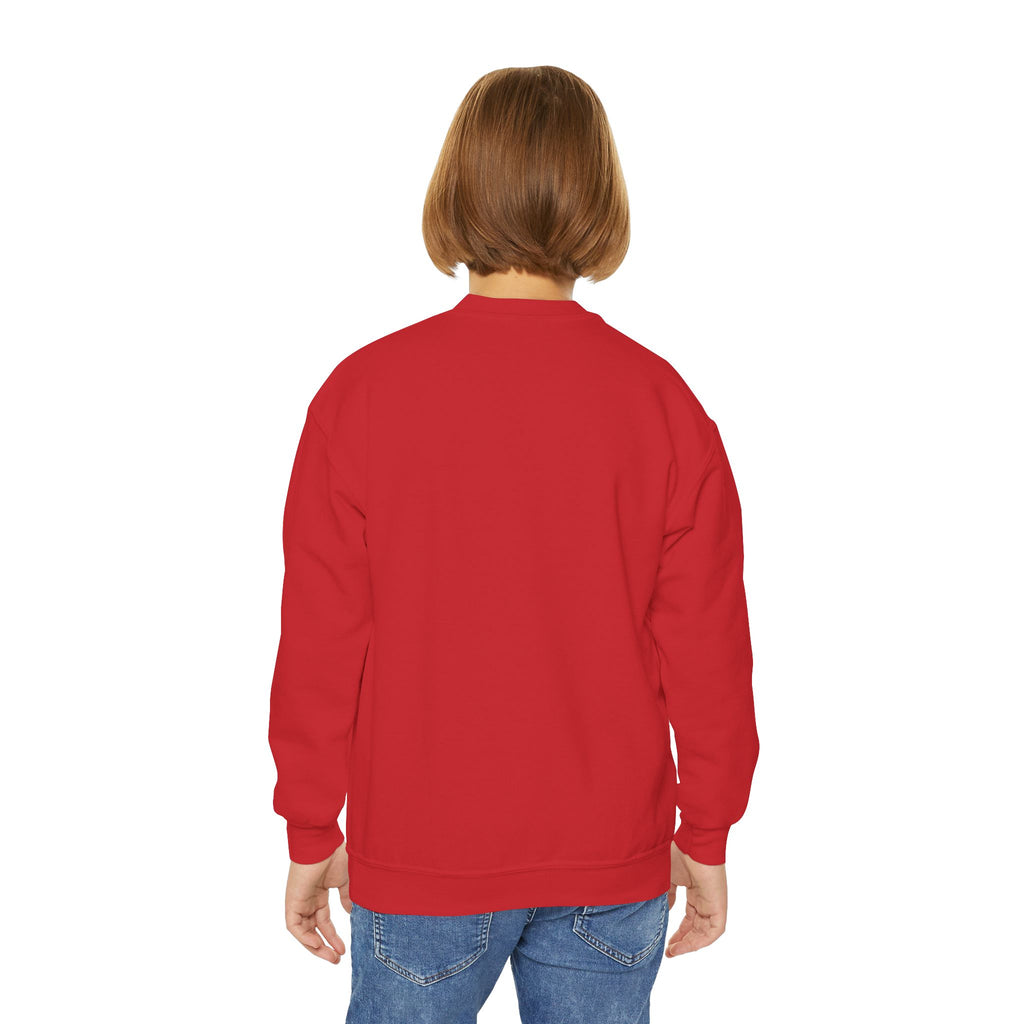 Youth Baseball Crewneck Sweatshirt - Batter & Red Stitch Design