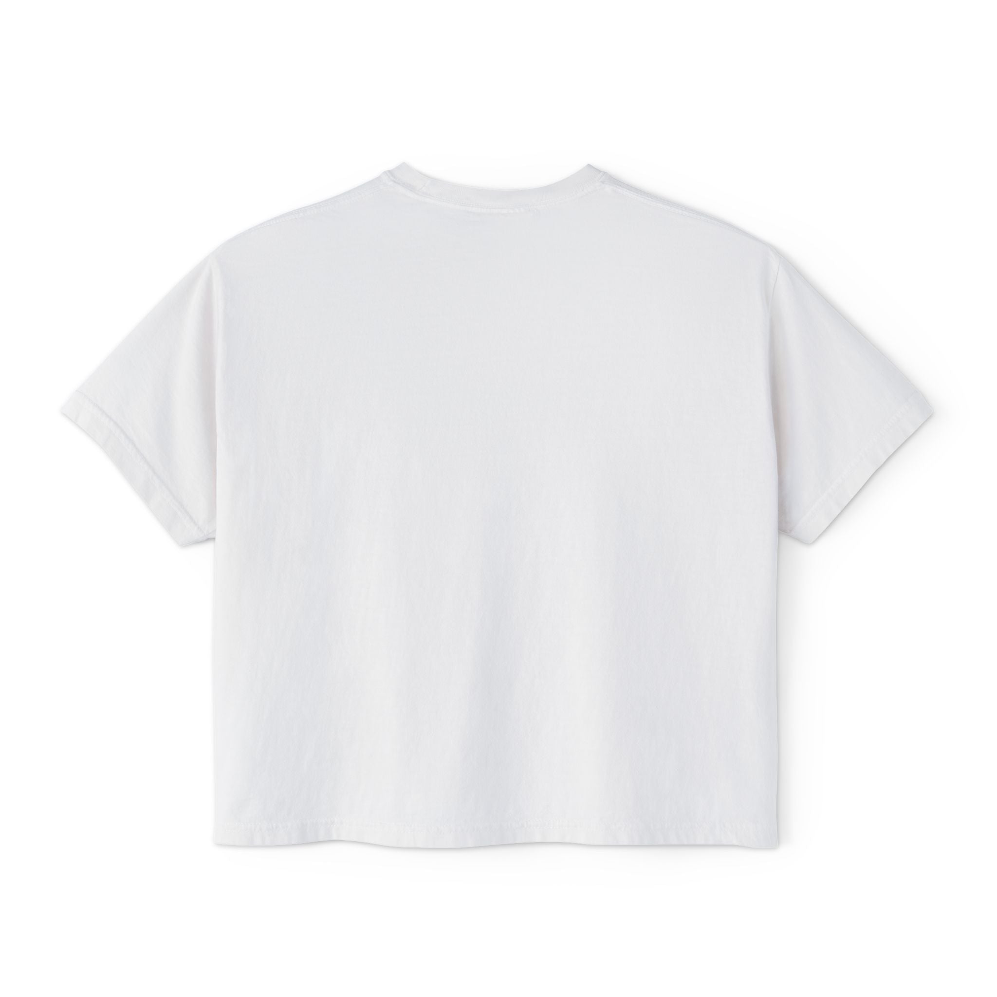 Duck Flight Women's Tee - Vintage